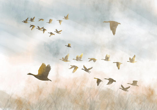 Fotobehang - Golden Geese
