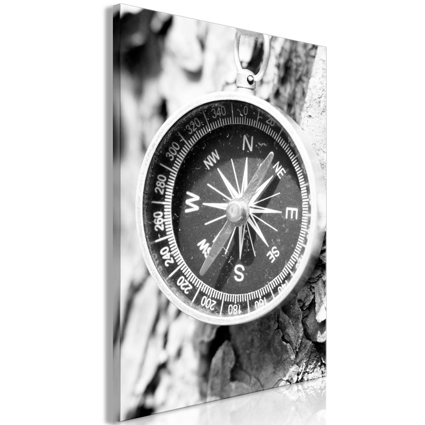 Schilderij - Direction of the Road (1-part) - Black and White Compass on Tree Background