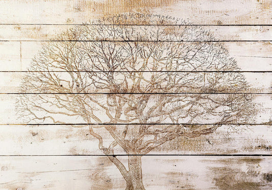 Photo Wallpaper - Tree on Boards