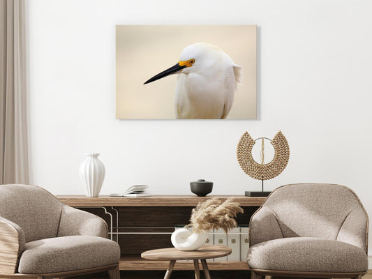Schilderij - Snowy Egret (1 Part) Wide