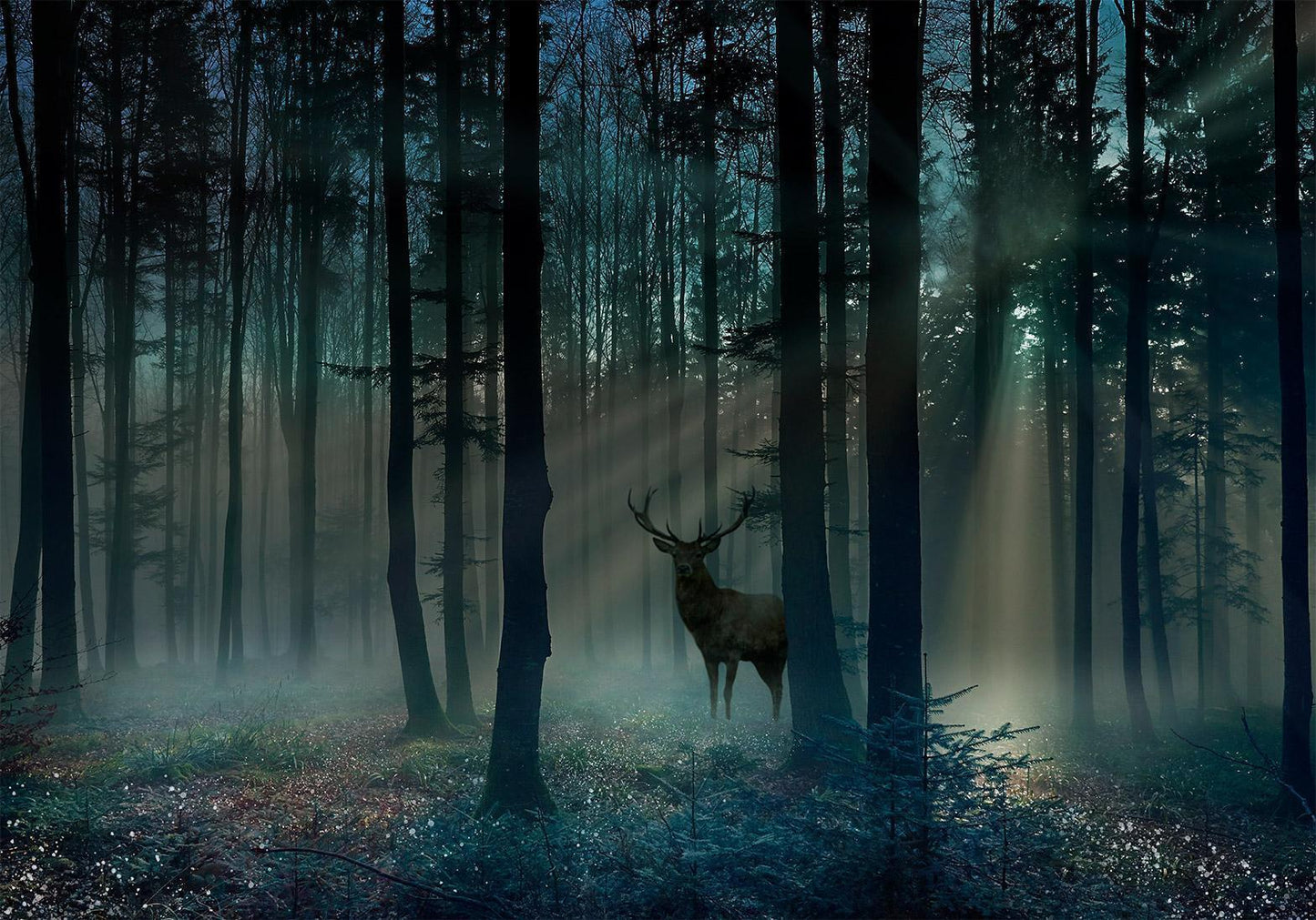 Selbstklebende Fototapete - Mystischer Wald - Dritte Variante