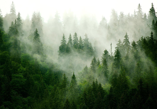 Fotobehang - Mountain Forest (Green)