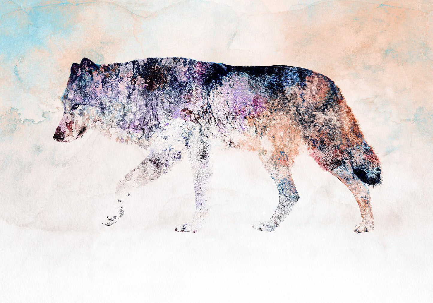 Selbstklebende Fototapete - Lonely Wolf