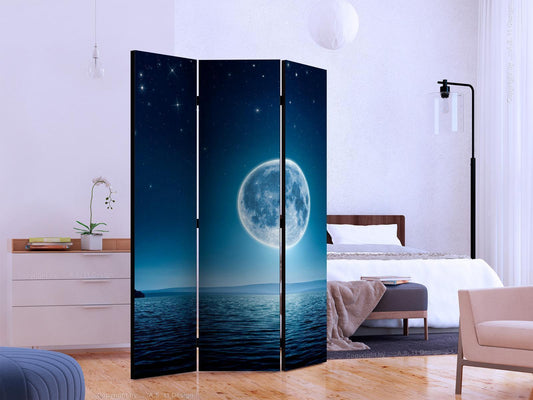 Folding screen - Moonlit night [Room Dividers] 