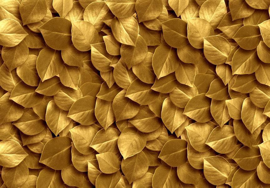 Fototapete - Goldene Blätter