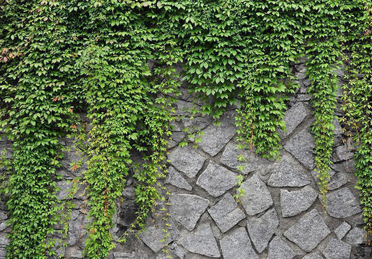 Fotobehang - Green wall