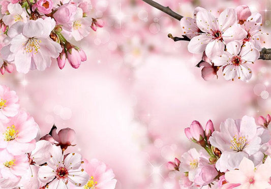 Fototapete - Frühlingskirschblüte