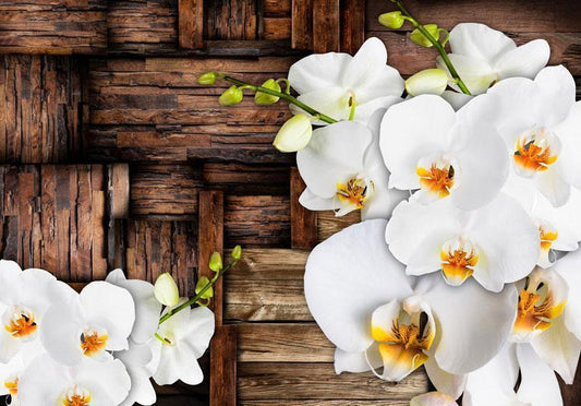 Wall Mural - Blooming orchids