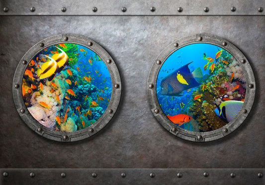 Fotobehang - Window to the underwater world