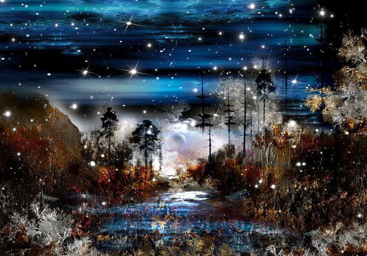 Wall Mural - Night in the forest