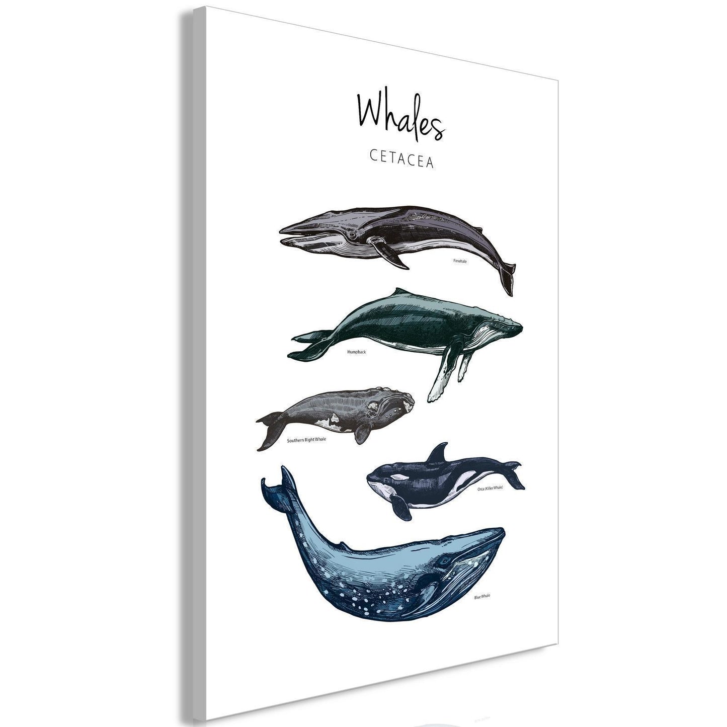 Schilderij - Whales (1 Part) Vertical