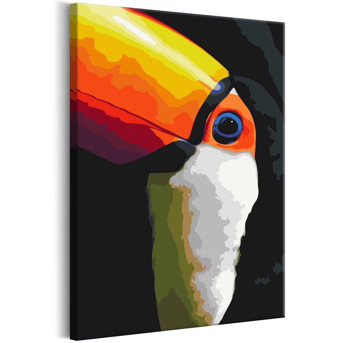 DIY painting on canvas - Toucan 