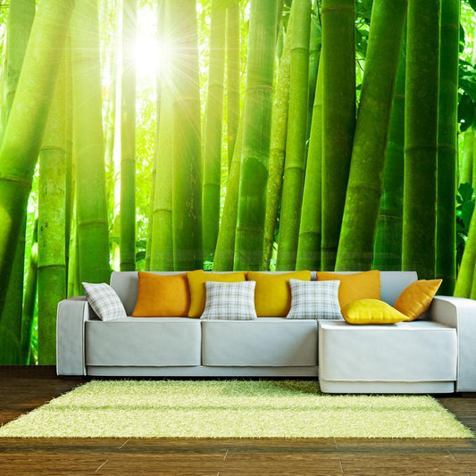 Fotobehang - Sun and bamboo