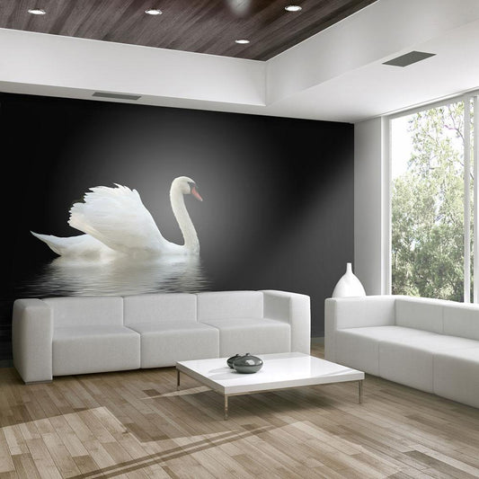 Wall Mural - swan (black and white)