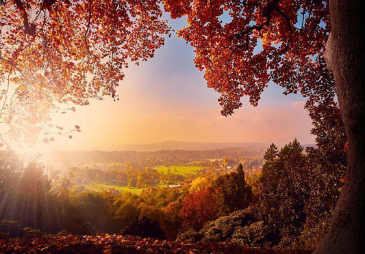 Fotobehang - Autumn delight - sunny landscape with countryside surrounded by trees and fields