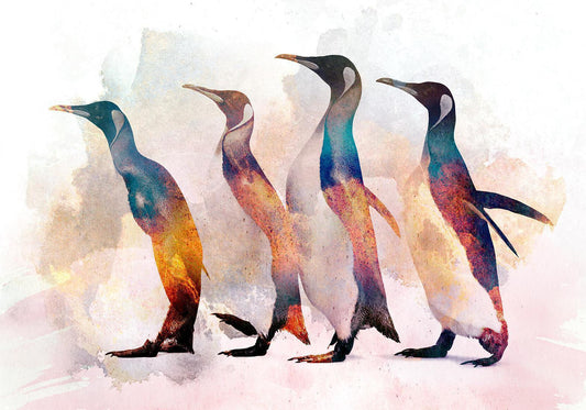 Fototapete - Pinguin wandern