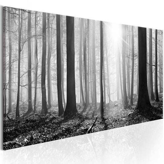 Schilderij - Black and White Forest