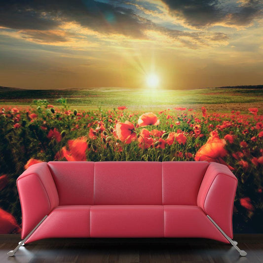 Wall Mural - Morning on the poppy meadow