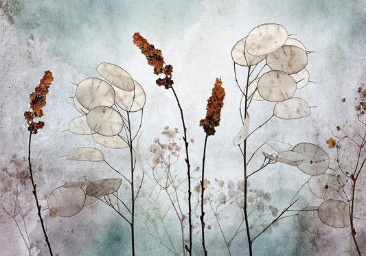 Fotobehang - Lunaria in the Meadow