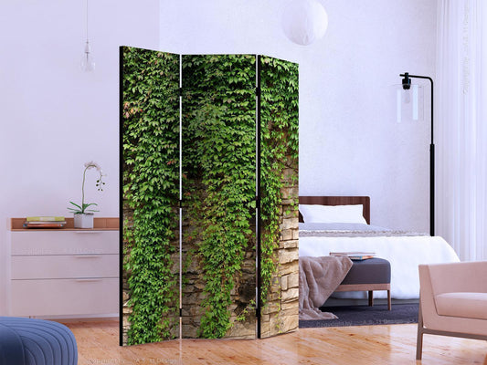 Folding Screen - Ivy wall [Room Dividers] 