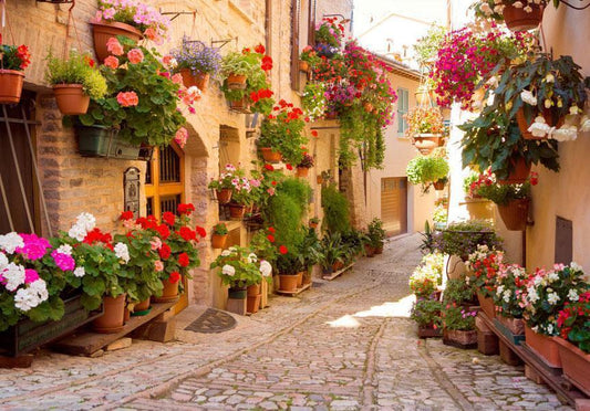 Fotobehang - The Alley in Spello (Italy)