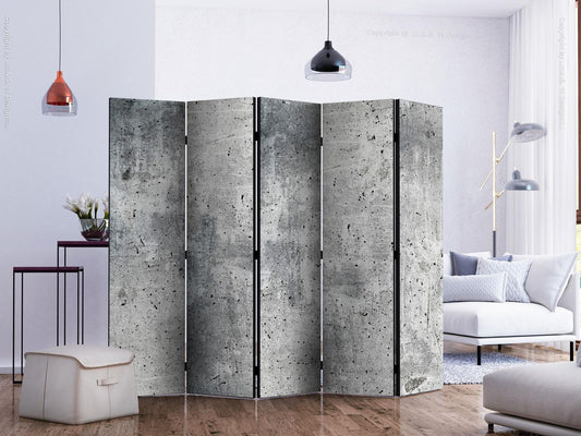 Folding Screen - Fresh Concrete II [Room Dividers] 
