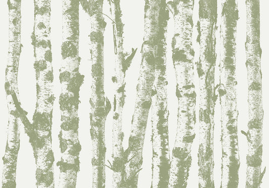 Fotobehang - Stately Birches - Third Variant