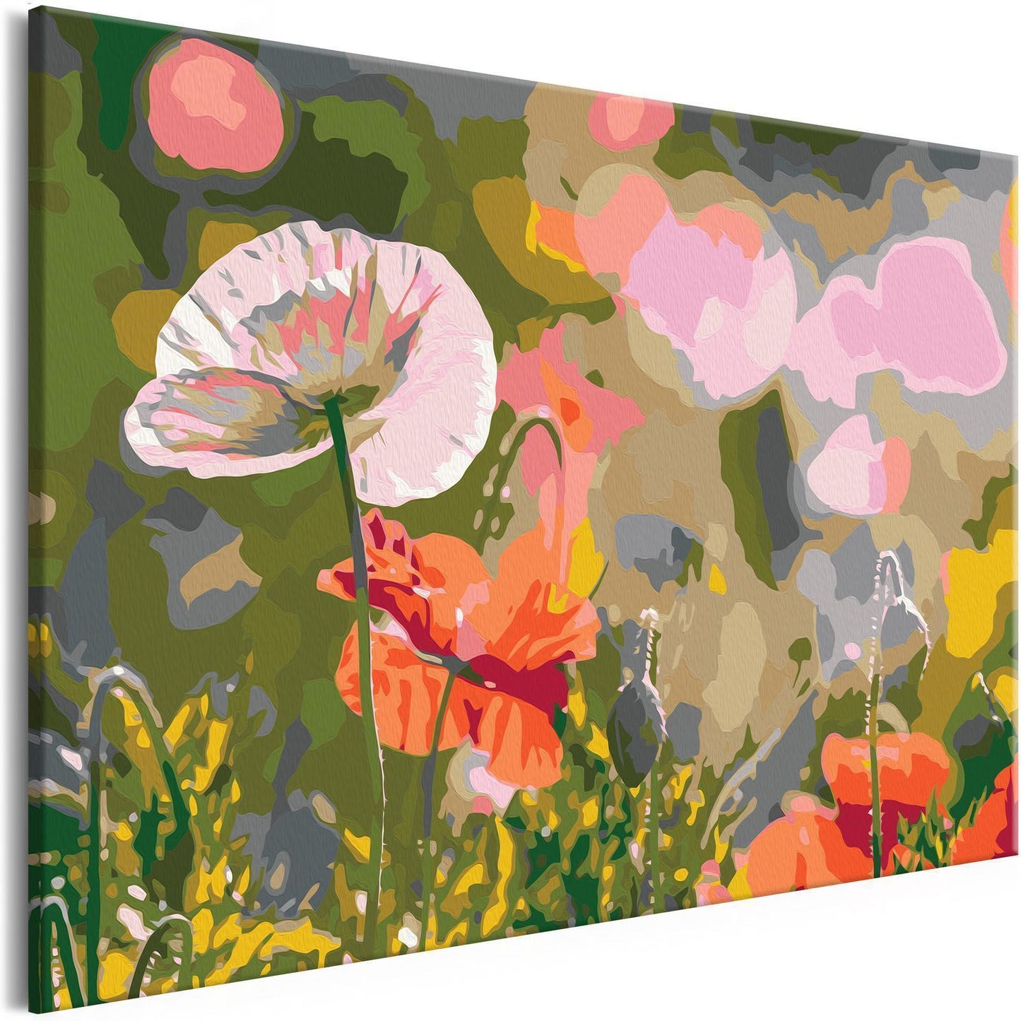 Doe-het-zelf op canvas schilderen - Colorful Meadow