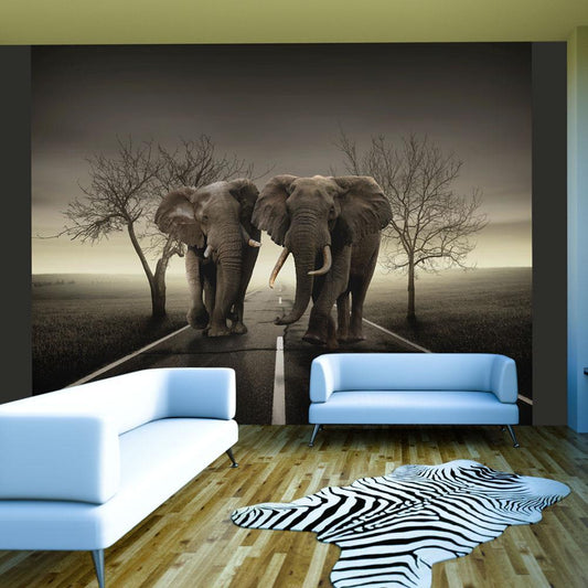 Wall Mural - City of Elephants