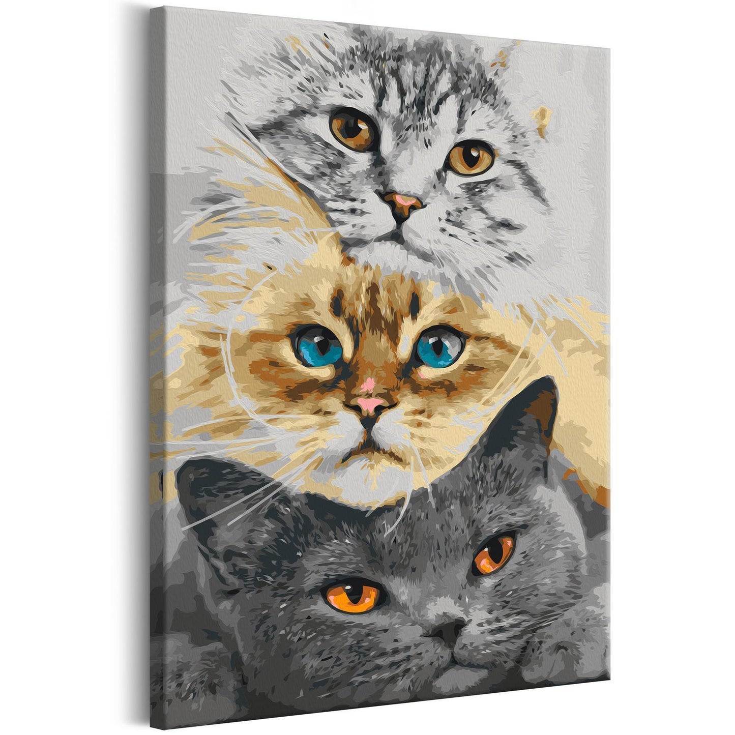 Doe-het-zelf op canvas schilderen - Cat's Trio