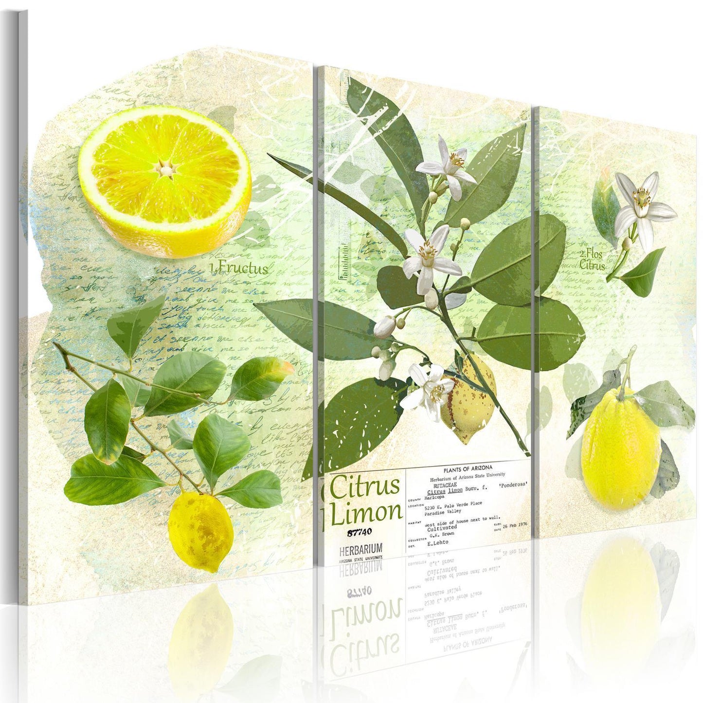 Schilderij - Fruit: lemon