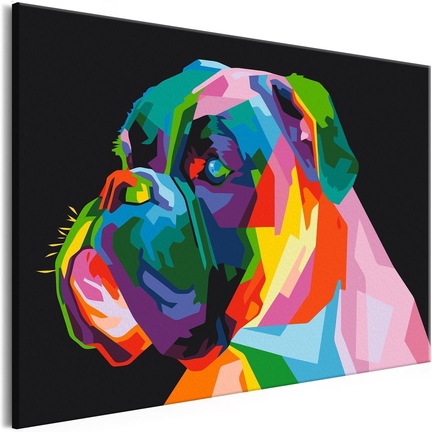 Doe-het-zelf op canvas schilderen - Colourful Boxer