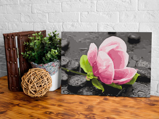 Doe-het-zelf op canvas schilderen - Pink Flower and Stones