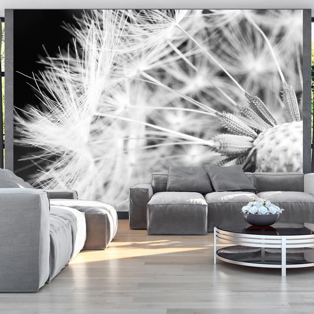 Wall Mural - Black and white dandelion