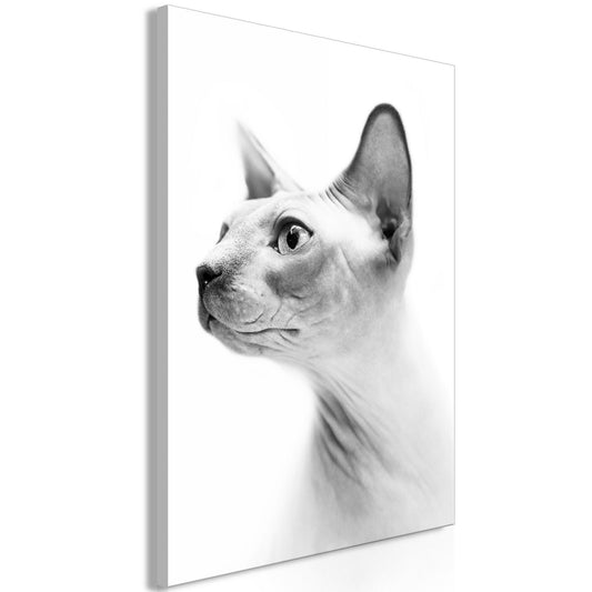 Schilderij - Hairless Cat (1 Part) Vertical