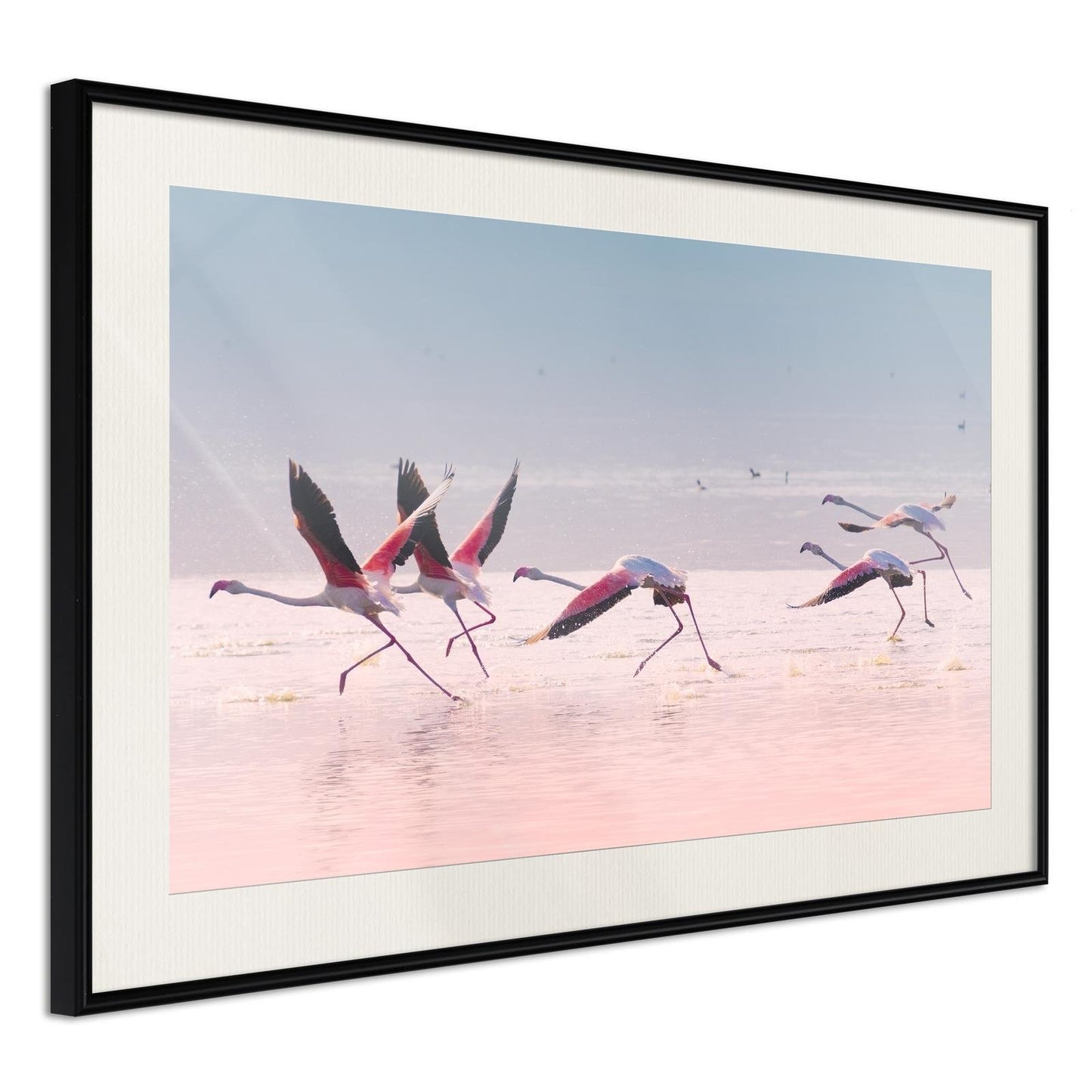 Flamingos Breaking into a Flight