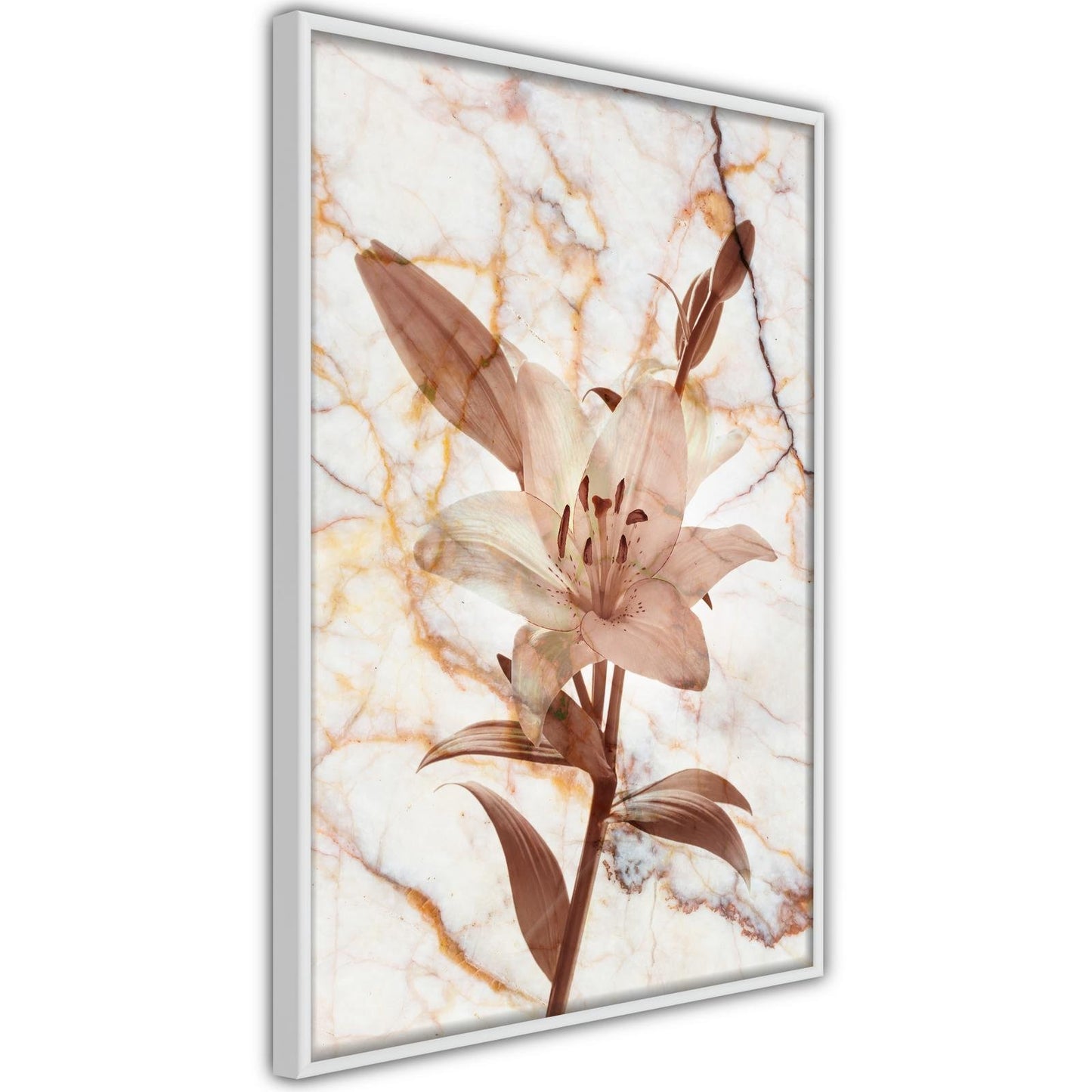 Lily on Marble Background
