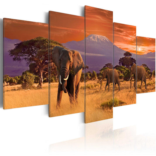 Schilderij - Africa: Elephants