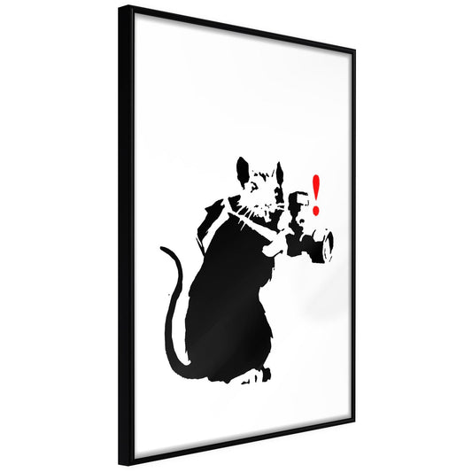 Banksy: Rattenfotograf