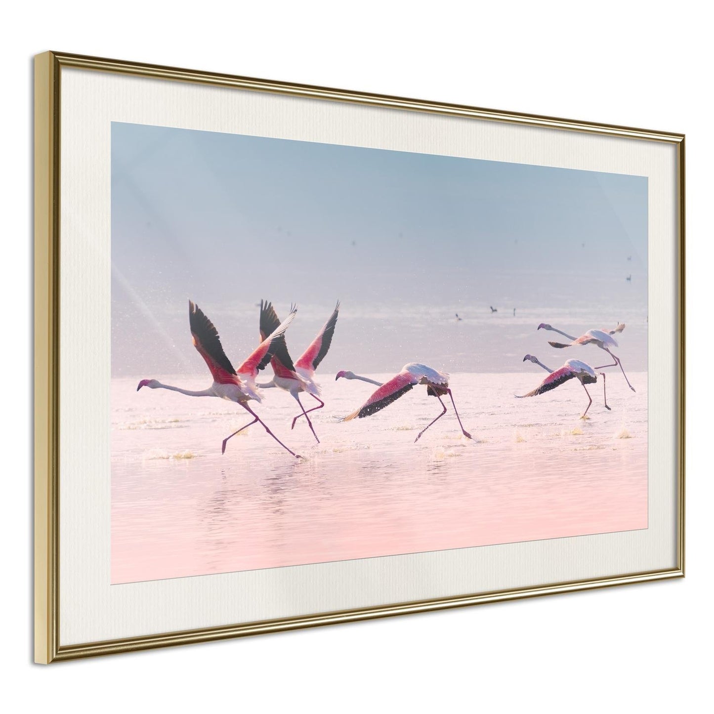 Flamingos Breaking into a Flight