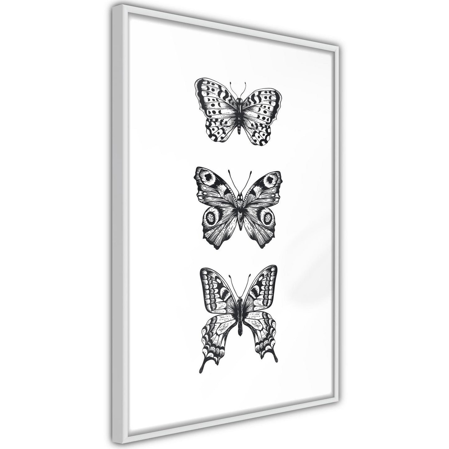 Butterfly Collection III