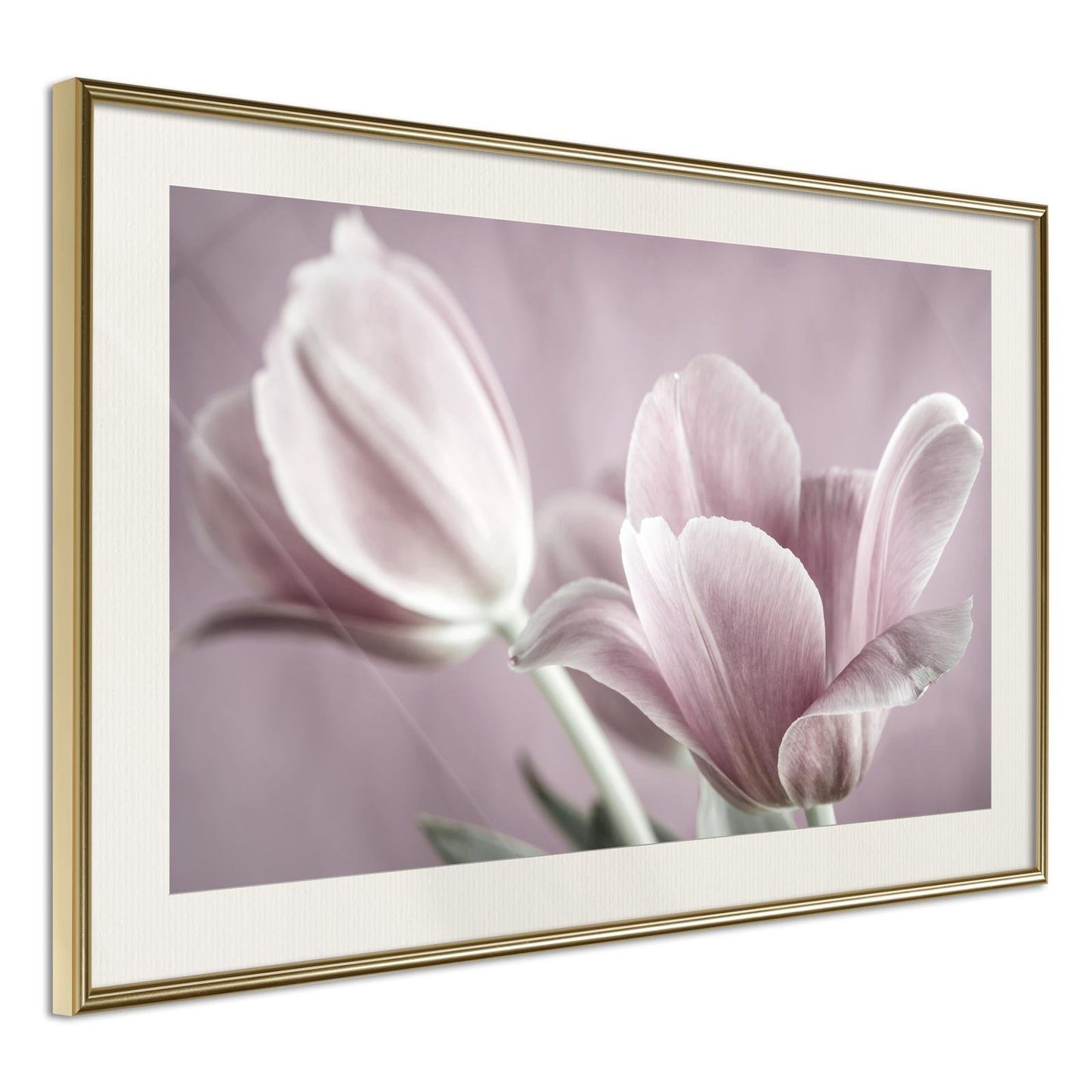Pastel Tulips I