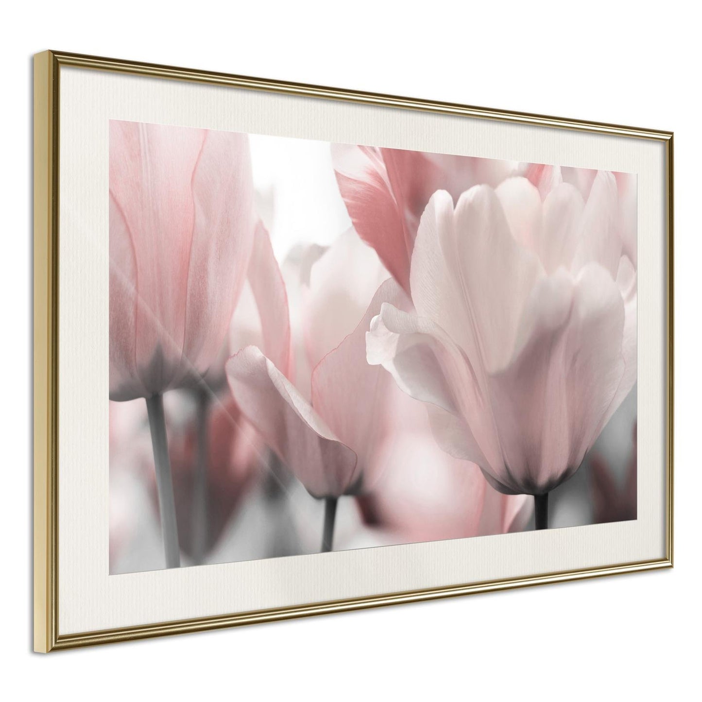 Pastel Tulips II