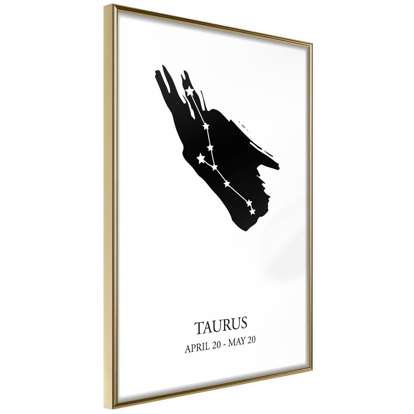Zodiac: Taurus I