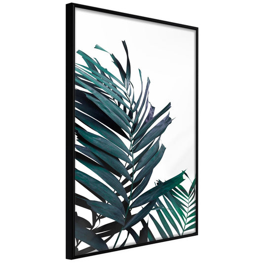 Immergrüne Palmblätter